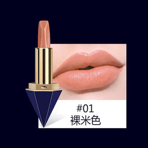 New Lipstick Luxury Makeup Lip Kit Pigments Long Lasting Waterproof Diamond Brand Makeup Red Lipstick Matte